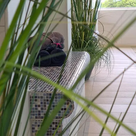 Terrassenhaus, 32 * Дунен